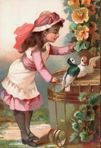 Victorian Trade Card Pretty Girl with Pigeons L1 - Picture 1 of 2