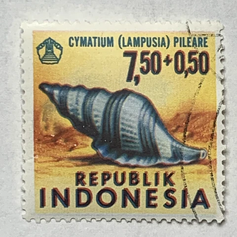 1969 INDONESIA STAMP #B220 WITH BLURRED DOUBLING ERROR Cover