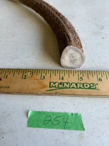 (1) LARGE Grade A Premium Organic Whole Elk Antler Dog Chew Treat - Knife handle - Picture 1 of 3