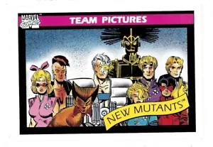 Marvel Universe Team Pictures Card #142, New Mutants, MCU, Impel, 1990 - Picture 1 of 2