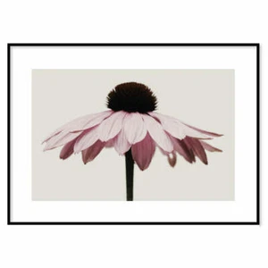 Poster Floreale Holy Poster moderno arredo soggiorno Poster di qualita Declea - Picture 1 of 27