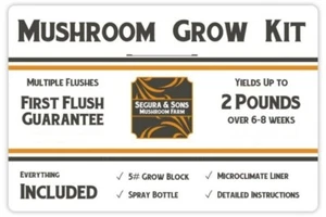 Segura & Sons Pearl Oyster Mushroom Grow Kit - First Flush Guarantee  - Picture 1 of 3
