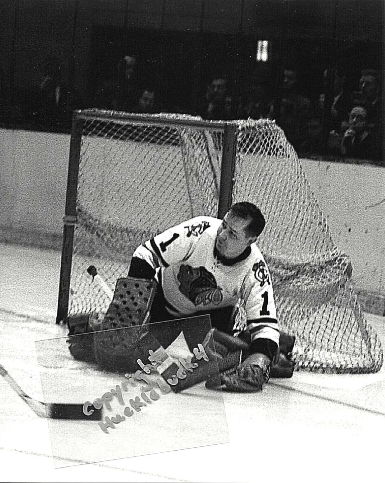 Foto de los Chicago Blackhawks de Glenn Hall en acción patio #5 (c) Foto 1 de 1