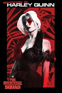 Suicide Squad large poster 61x91.5 cm | 24x36 inch NEW DC Comics Harley Quin - Picture 1 of 1