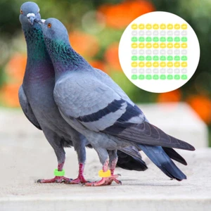 300 Pcs Pigeon Foot Ring Identification Rings Poultry Leg Bands Numbered - Imagen 1 de 12