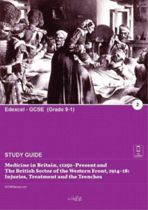 Clever Lili Medicine in Britain, c1250-present and the British secto (Paperback)