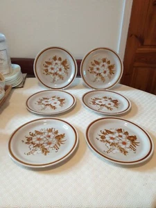 Mountain Wood Dried Flowers Dinner Plates x 6 - 1970s Japanese Stoneware - Picture 1 of 14