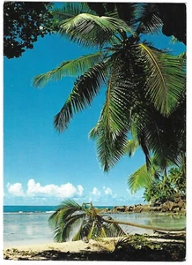 SEYCHELLES - BEACH VIEW, MAHE Photo Eden 1986 Postcard to UK - Foto 1 di 2