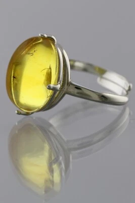 Anillo Ajustable Plata Ámbar Báltico Genuino Inclusión Insecto Fósil 191030-1 Foto 1 de 4