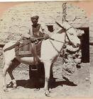 XX17276/ Stereofoto Donkey Boy of Cairo Egypt Ägypten AK Esel Foto 1899