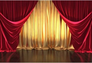 10X8Ft Golden Red Curtain Party Backdrop Magic Show Red Carpet Prom Background K - Picture 1 of 8