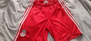 Liverpool FC Shorts Men's Medium - Picture 1 of 2