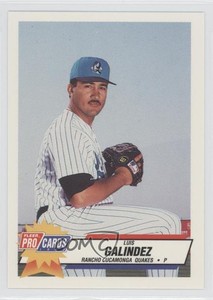 1993 Fleer ProCards Minor League Luis Galindez #824