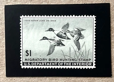 U.S. #RW12  Mint VF+ NH    Catalog $100.00 - Image 1 of 2