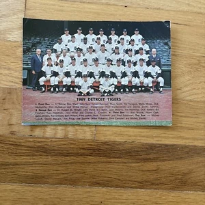 Vintage 1969 Detroit Tigers Baseball Team Issue Color Photo - Picture 1 of 1