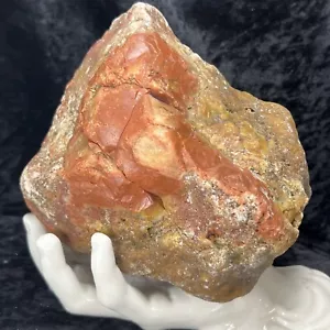 "Geoda lapidaria grande de ágata calcedonia roja naranja áspera Kentucky Chert 5 lb 5-3/4""" - Imagen 1 de 7