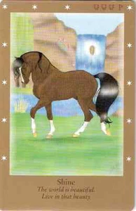 BELLA SARA DANISH GOLD SERIES RARE SHINE CARD - Picture 1 of 3