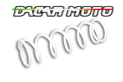 Malossi Spring for Rear Shock Absorber Aprilia Rally 50 2T Minarel 299213B - Image 1 of 4