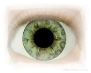 Ocean Green 18 mm Full Round Real Eyes~ REBORN DOLL SUPPLIES  - Picture 1 of 1