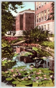 POSTAL DE MUESTRA COLOREADA A MANO DE LA UNIVERSIDAD DE MAESTROS ESTATALES DE KENTUCKY DEL ESTE - Imagen 1 de 2