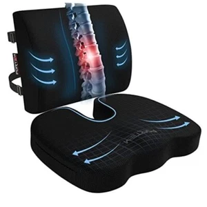 Chair Cushion, Seat Cushion for Black Mesh Seat Cushion and Lumbar Pillow - Picture 1 of 7