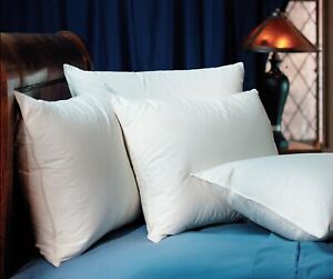 Pacific Coast Down Surround Standard Complete Pillow Set (4 Standard Pillows)