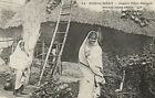 Pc Cpa India, Pondichéry, Jeunes Filles Bengali, Vintage Postcard (B13769)
