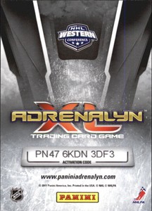 2010-11 Panini Adrenalyn XL Hockey #197 Erik Johnson