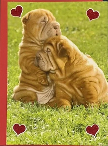 Linda tarjeta de San Valentín Sharpei cachorros perros para saludos de papel reciclado de novia - Imagen 1 de 3