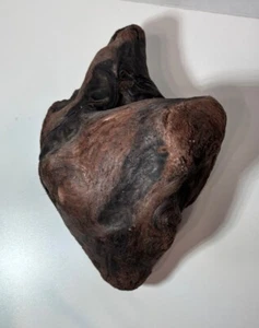 Unique heart-shaped driftwood Northern California Aquarium Decor - Picture 1 of 4