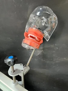 Simple Dental Simulator Phantom Head Model Dental preparation support - Picture 1 of 15