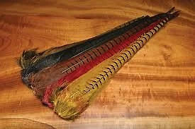 Grupo de cola de faisán con cuello anular - atar moscas Foto 1 de 1