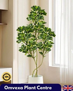 Große 120cm Kunstpflanze für Wohnzimmer Büro Schlafzimmer Deko ohne Topf - Bild 1 von 16