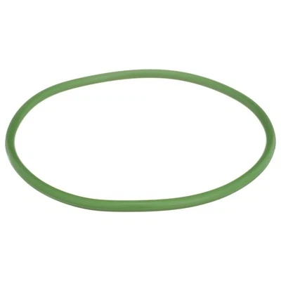 Fuel Pump Tank Seal Delphi For 2007-2010 Chevrolet Cobalt - Image 1 of 4