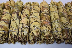 Paquete de incienso manchado yerba papá papá papá papá papá papá papá papá papá santo 8""-9"" (21 piezas) #JC-88 - Imagen 1 de 2