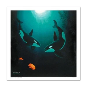 In the Company of Orcas Limited Edition Giclee on Canvas by renowned artist WYLA - Picture 1 of 2