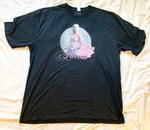 Disney Aurora Sleeping Beauty Men’s 4XLT Black T-Shirt Graphic Printed Top - Picture 1 of 5