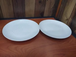 Nordic ware Large Plastic Microwavable Dinner Plates 10" Inch Lot Of 2 Reusable - Picture 1 of 3
