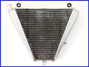 DUCATI 2012 1199 Panigale S Genuine Lower Radiator 11,478km 899 - Bild 1 von 9