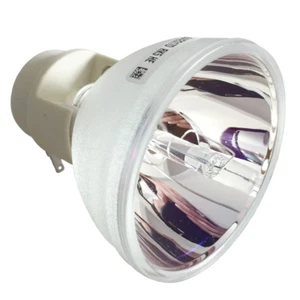 Bombilla proyector de repuesto para BenQ 5J.J7L05.001 W1070 W1070+ W1080ST - Imagen 1 de 6