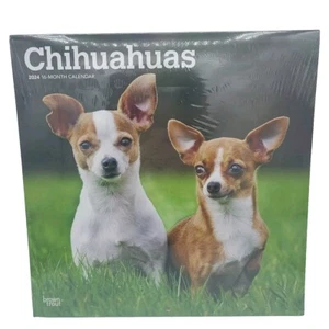 Chihuahuas | 2024 12x24" Monthly Square Wall Calendar - Picture 1 of 4