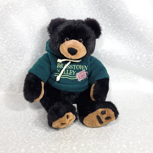 Sudadera con capucha Schatzi Cuddlebears Black Bear con capucha verde Brasstown Valley Bog Turtle 13" - Imagen 1 de 11