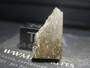 Meteorite SaU 563 - Primitive Achondrite (Olivine-rich) : Ureilite - Picture 1 of 3