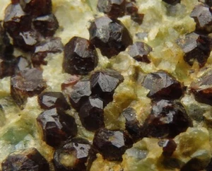 GARNET var. ALAMANDINE crystals - NORWAY Nordland - Buvika - Buviknakken /pj906 - Picture 1 of 14
