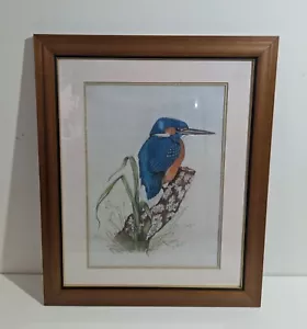 Kingfisher Bird Pastel Drawing Painting Original Artwork Signed J.Thompson Frame - Picture 1 of 7