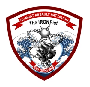 3" MARINE CORPS COMBAT ASSAULT BATAILLON VINYL AUFKLEBER STICKER AUFKLEBER - Bild 1 von 1