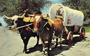 SD Volin Cletus Logue 1964 con Mike & Pete Named Oxen Wagon postal N95 - Imagen 1 de 2