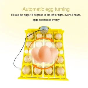 Yellow Egg Turning Tray Multifunction Automatic Egg Turner Incubator Tray US - Picture 1 of 28