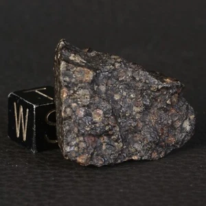 Météorite NWA 16387 de 12,94 g - Chondrite Carbonée type CK3 - Foto 1 di 13