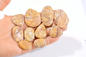 Lote de 10 piezas de piedras preciosas sueltas de jaspe de lujo natural de 369 quilates 28x19-49x28 mm #2957 - Imagen 1 de 4